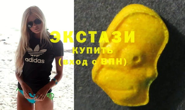 МДПВ Инта