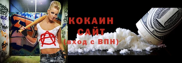 гидра Кущёвская
