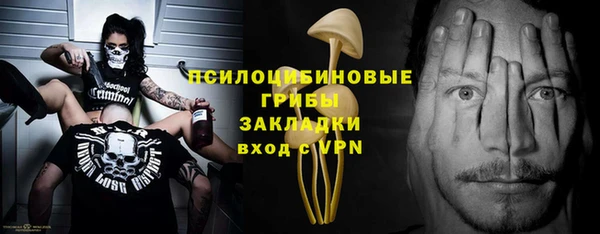МДПВ Инта