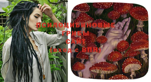 МДПВ Инта